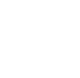遊び方